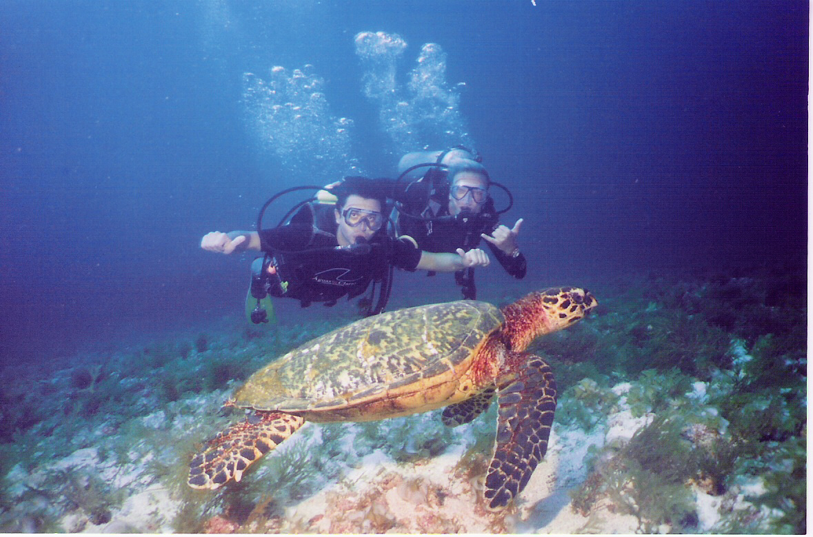 Архипелаг Аброльос ZZ0Z DX Новости Архипелаг Аброльос ZZ0Z DX Новости